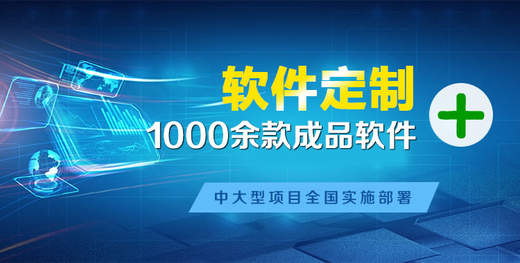 莎车软件开发